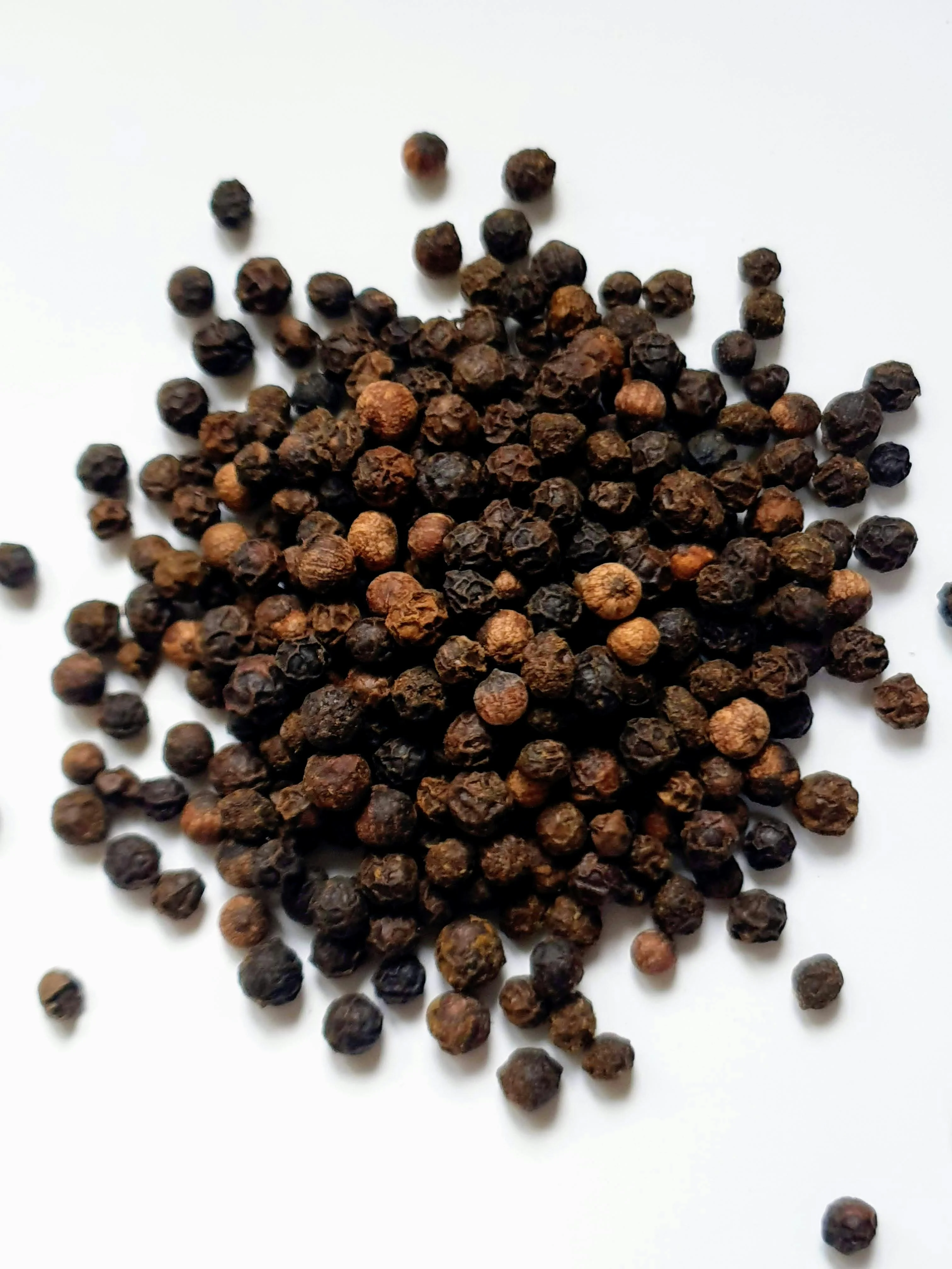 Black Pepper - 500gm - Image 3