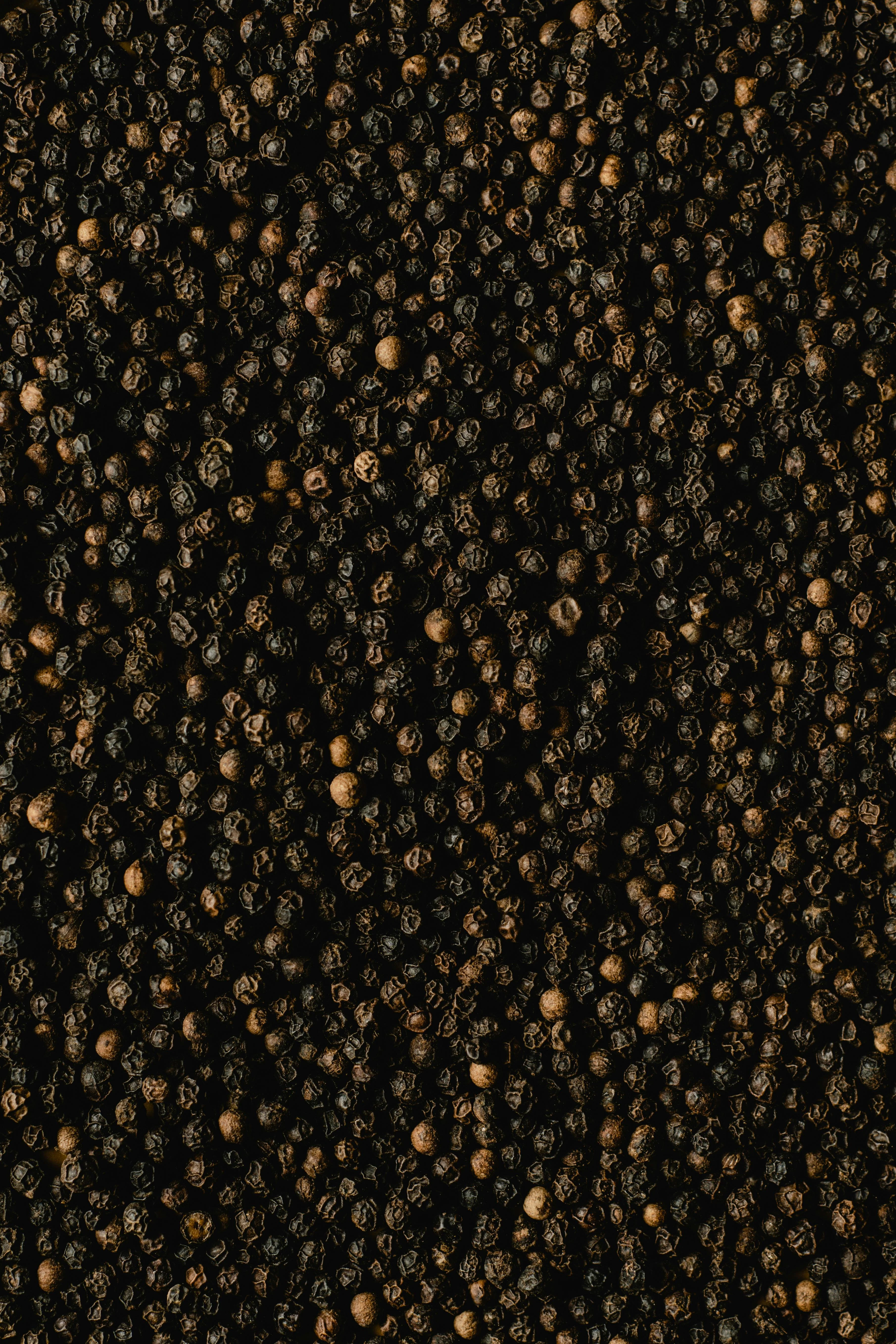 Black Pepper - 500gm - Image 4